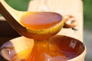 Полезные свойства и особенности таежного меда