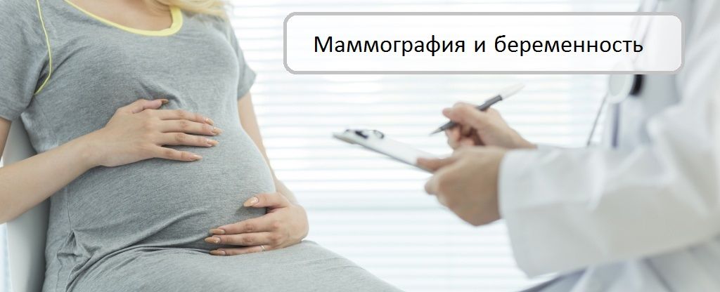 маммография и беременность