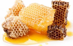 Можно ли есть воск сразу из пчелиных сот