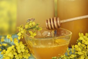 Полезные свойства и особенности рапсового меда