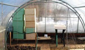 Как осуществляется зимовка пчел в теплице из поликарбоната
