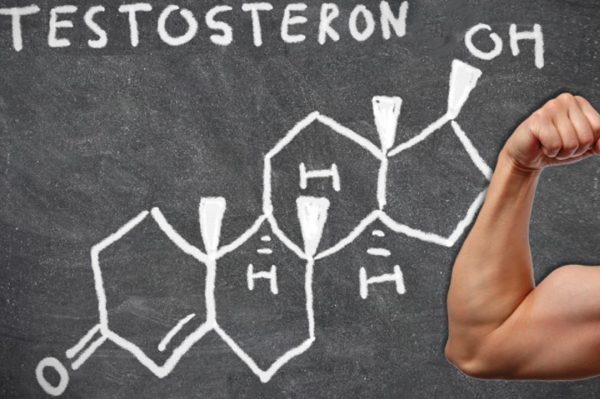 Из чего состоят тестостероновые бустеры