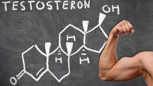 Особенности выработки тестостерона у мужчин и женщин
