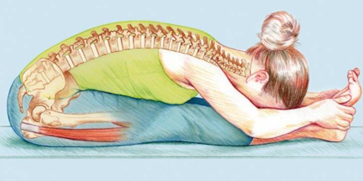 Путь к здоровой спине: йога для позвоночника