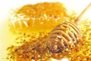Полезные свойства и как применять мед с пыльцой