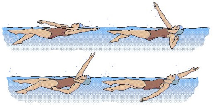 Плавание при грыже поясничного отдела позвоночника: есть ли эффект от водных процедур?