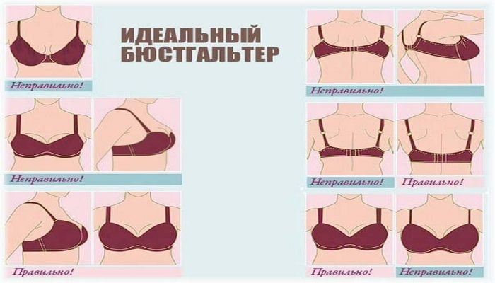Как правильно измерить объем груди
