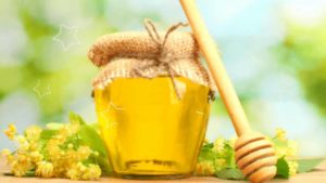 Полезные свойства и особенности липового меда