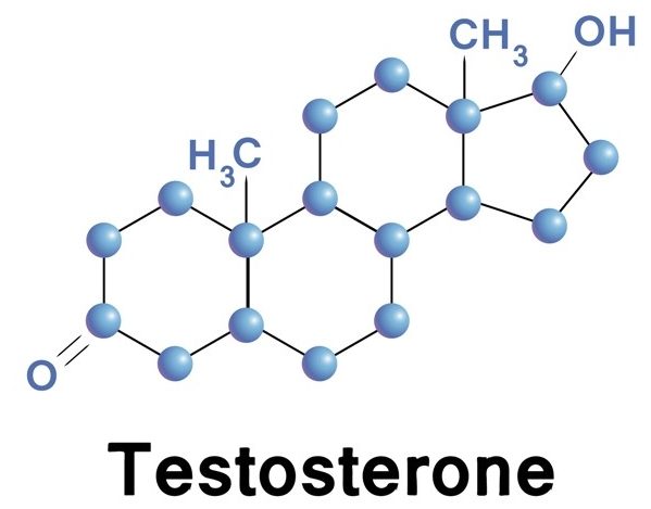 Общий тестостерон и его фракции